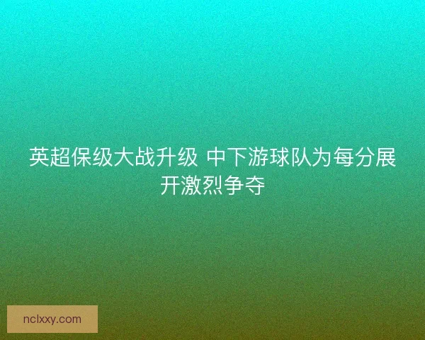 英超保级大战升级 中下游球队为每分展开激烈争夺